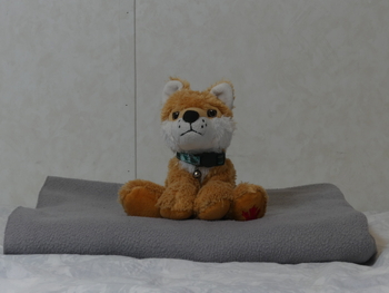Pocket fox (Red Fox, Stuffed Animal House)